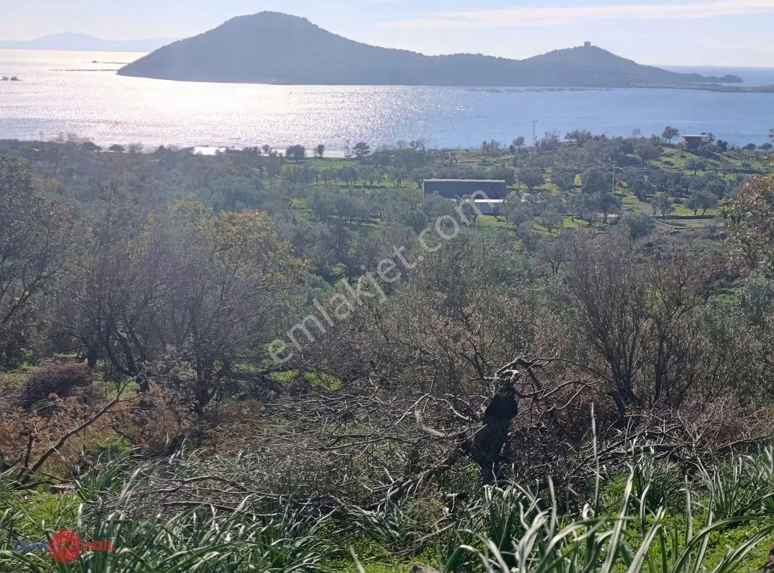 Denizköyde 1.300 M² Full Deniz Manzaralı Satılık Arazi - Görsel 12