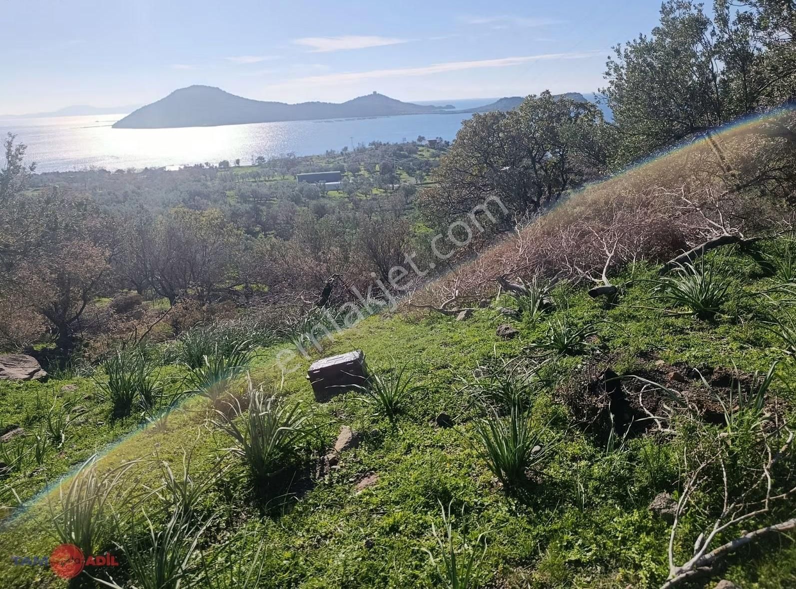 Denizköyde 1.300 M² Full Deniz Manzaralı Satılık Arazi - Görsel 18