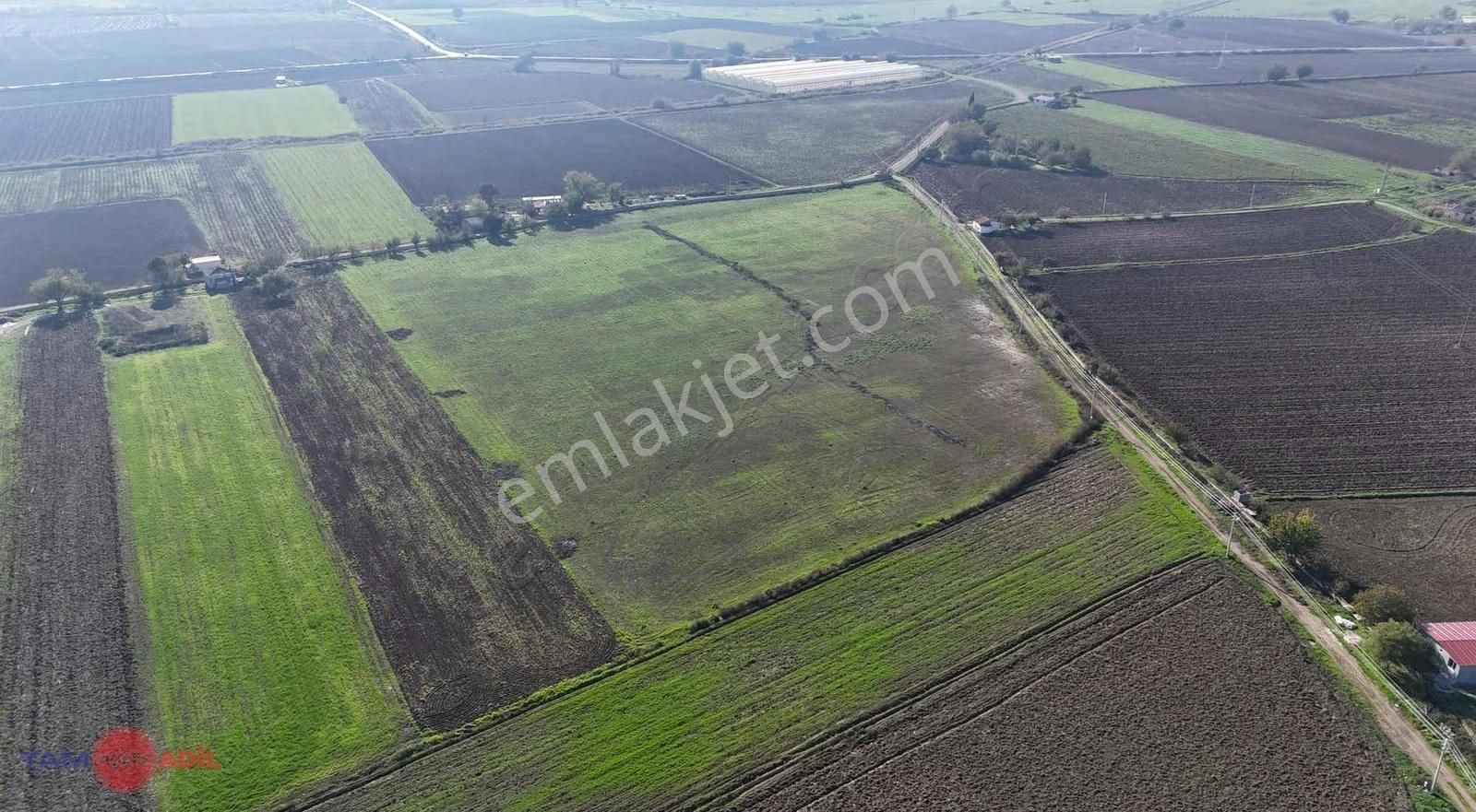 Acil...! Bergama Dağıstan Köyü Mevkii 33.000m2 Verimli Arazi..