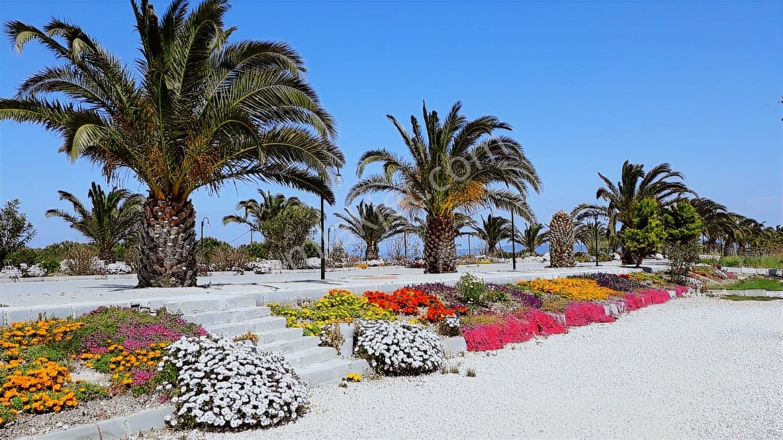 Mordoğan Emlaktan Kamukentte 490 Ada Da Deniz Manz. Arsa - Görsel 4