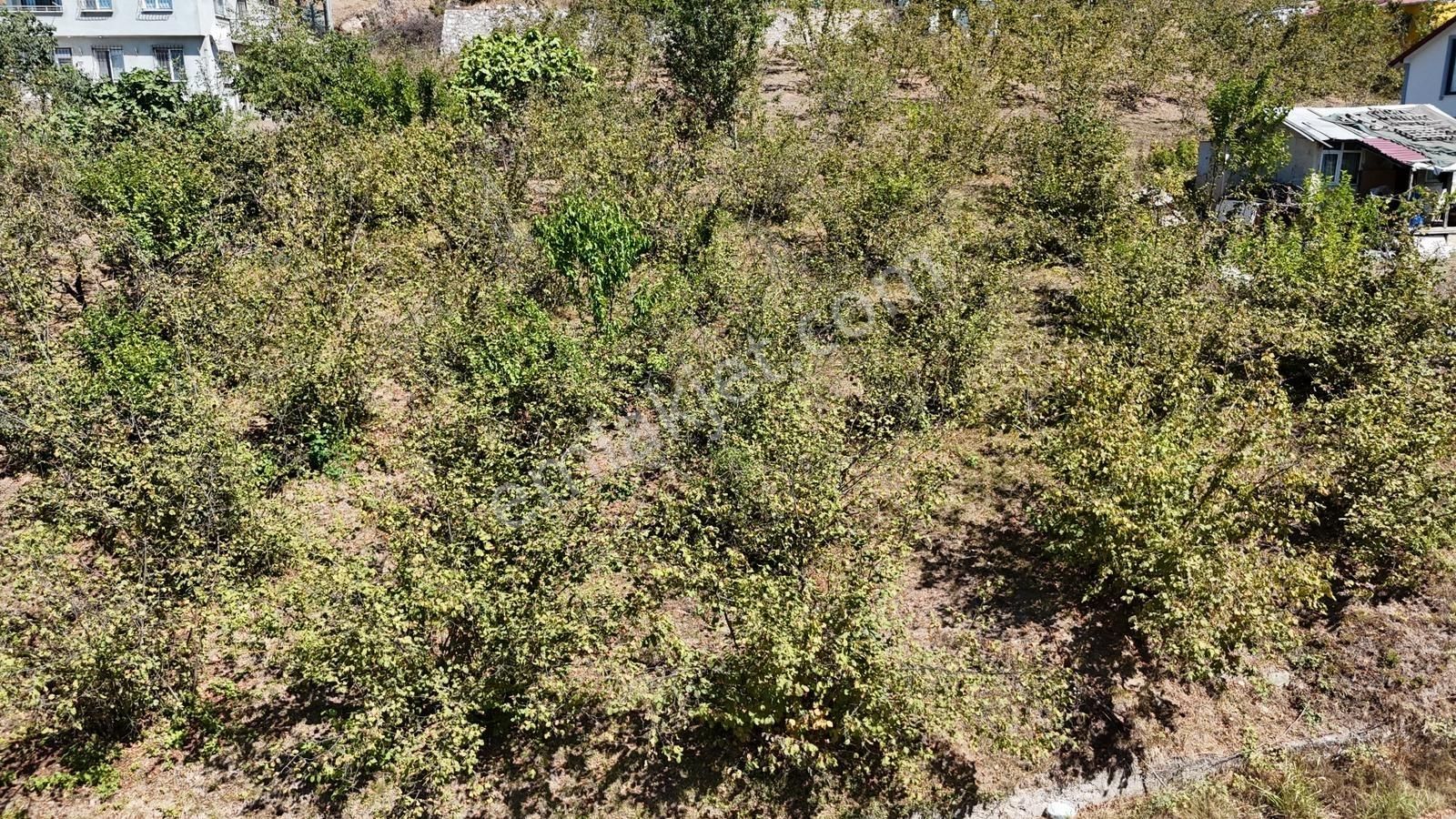 Esmer Emlak'tan Kuzuluk Ortamahalle'de Satılık Arsa - Görsel 6