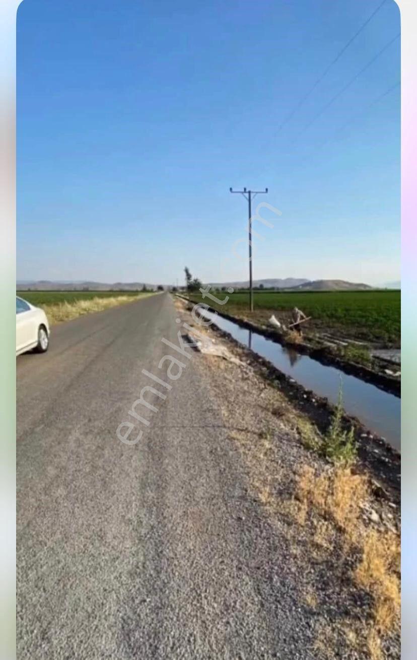 Yıldırımdan Türkoğlu Narlı Arasında 29.544 M2 Satılık Sulu Tarla - Görsel 2