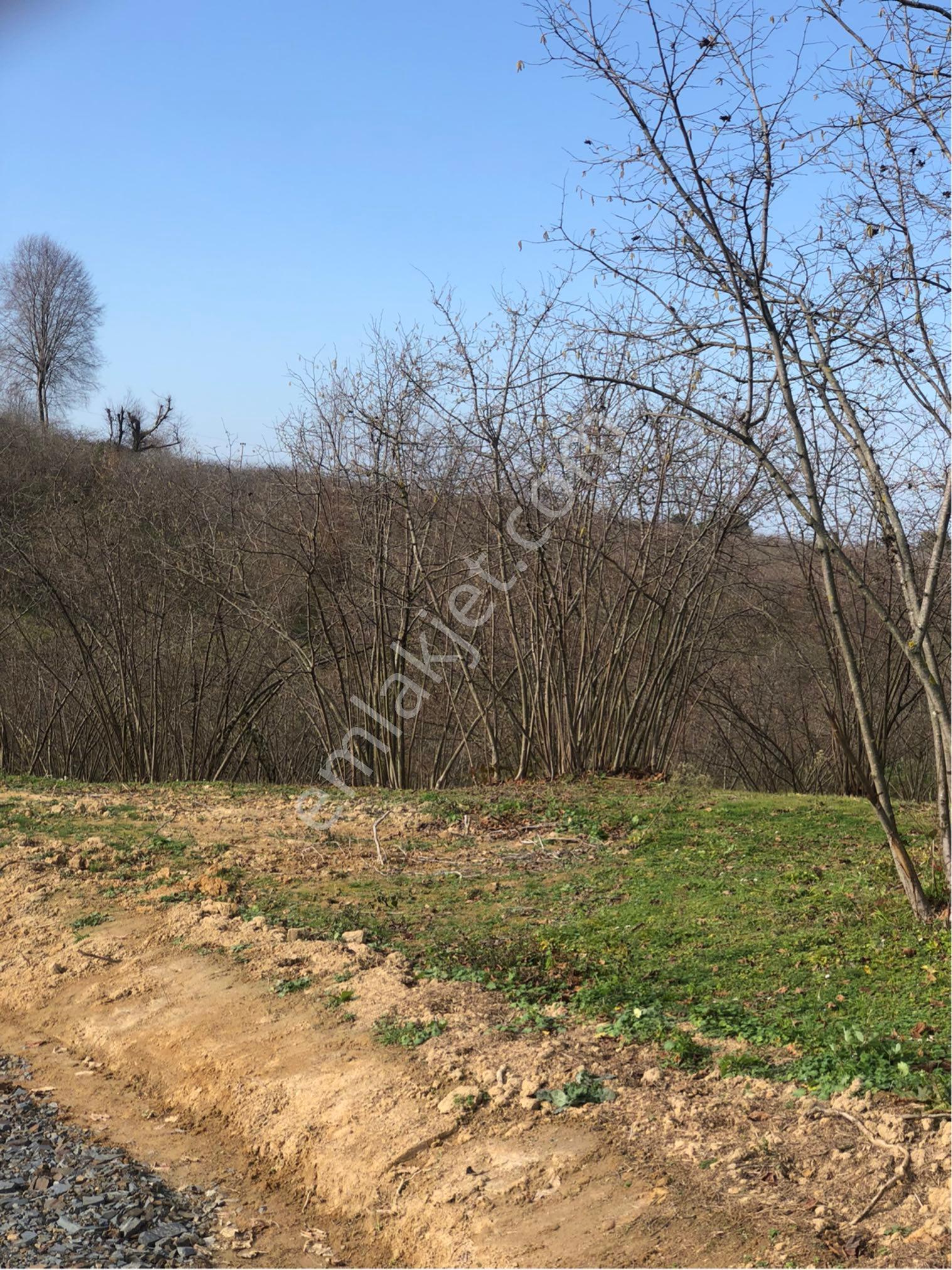 Sakarya Kocaali Kadıköyde Satılık Arsalarımız - Görsel 18