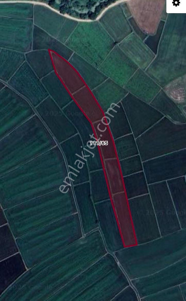 Çaplı/muhafakatnameli - Görsel 2