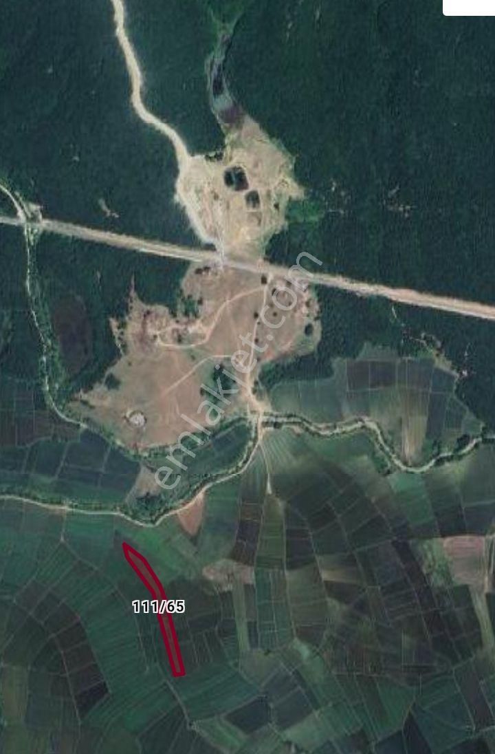 Çaplı/muhafakatnameli