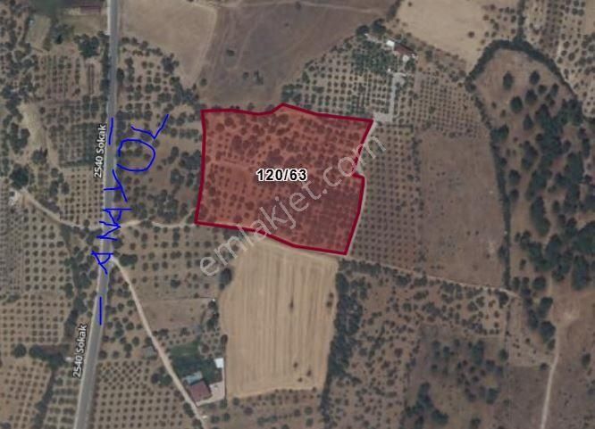 Komisyonsuz.fiyatı Düştü Torbalı Çapak Mahallesi Yol Kenarı Kıymetli Arazi - Görsel 9
