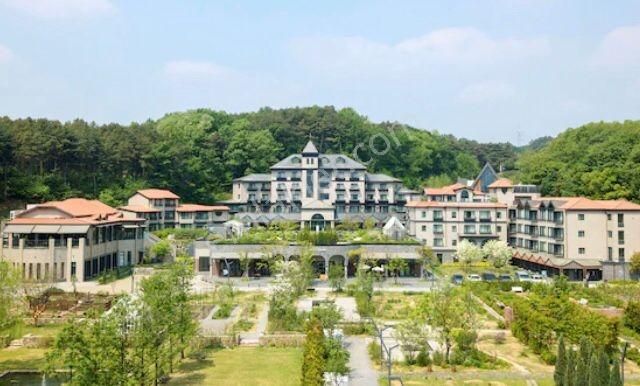 Turizm Tesis Alanı İmarlı (12 Dönüm) Satılık Arsa - Görsel 7