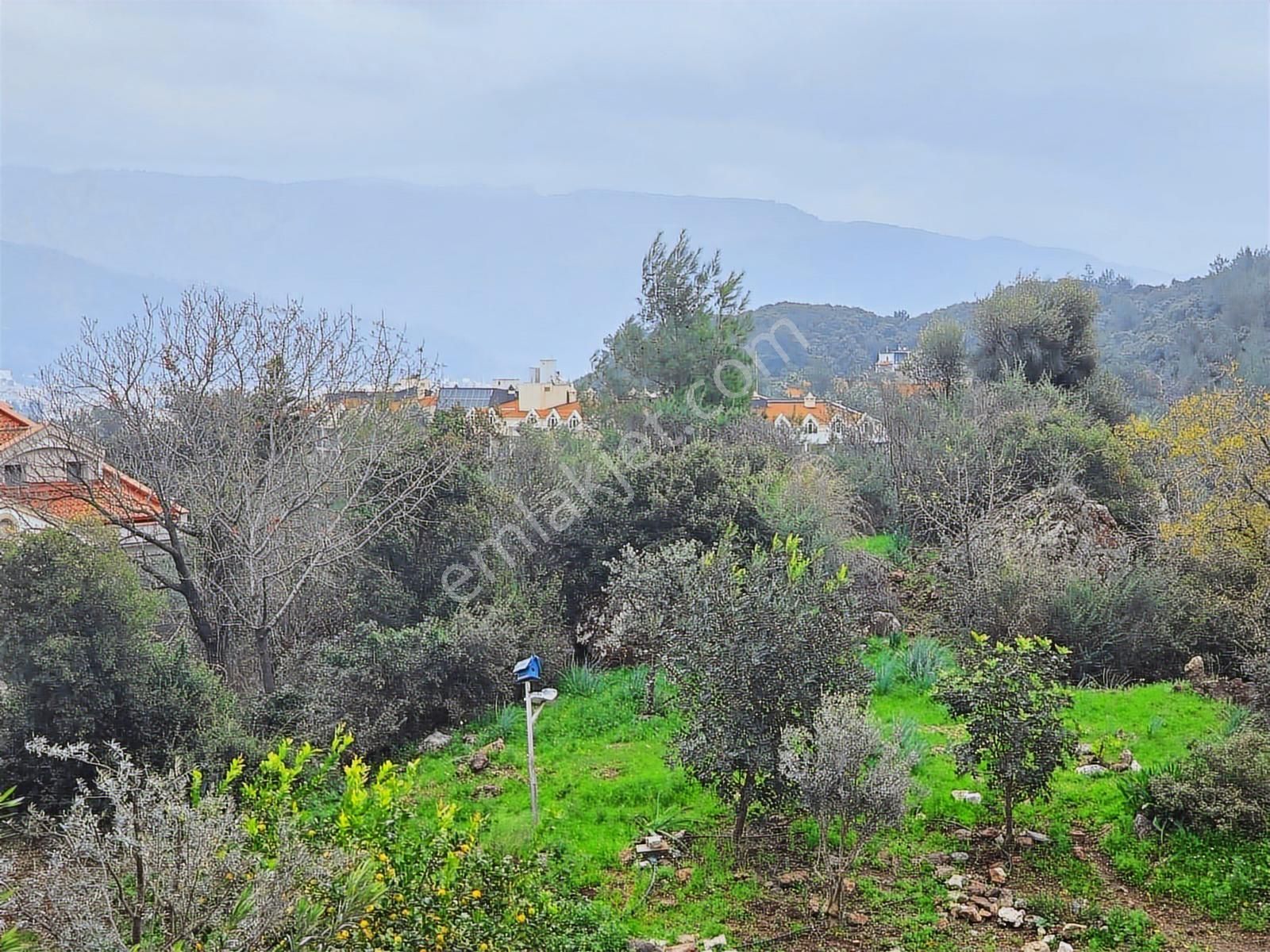 Marvera 'dan Armutalan'da Müstakil Girişli 3+1 Dubleks Daire - Görsel 14