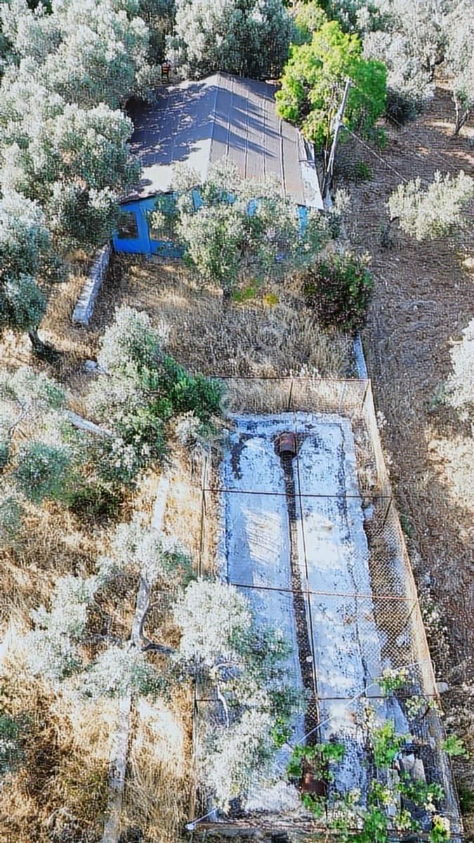 Çeşme Germiyan'da Emsalsiz Yatırım Fırsatı - Görsel 28