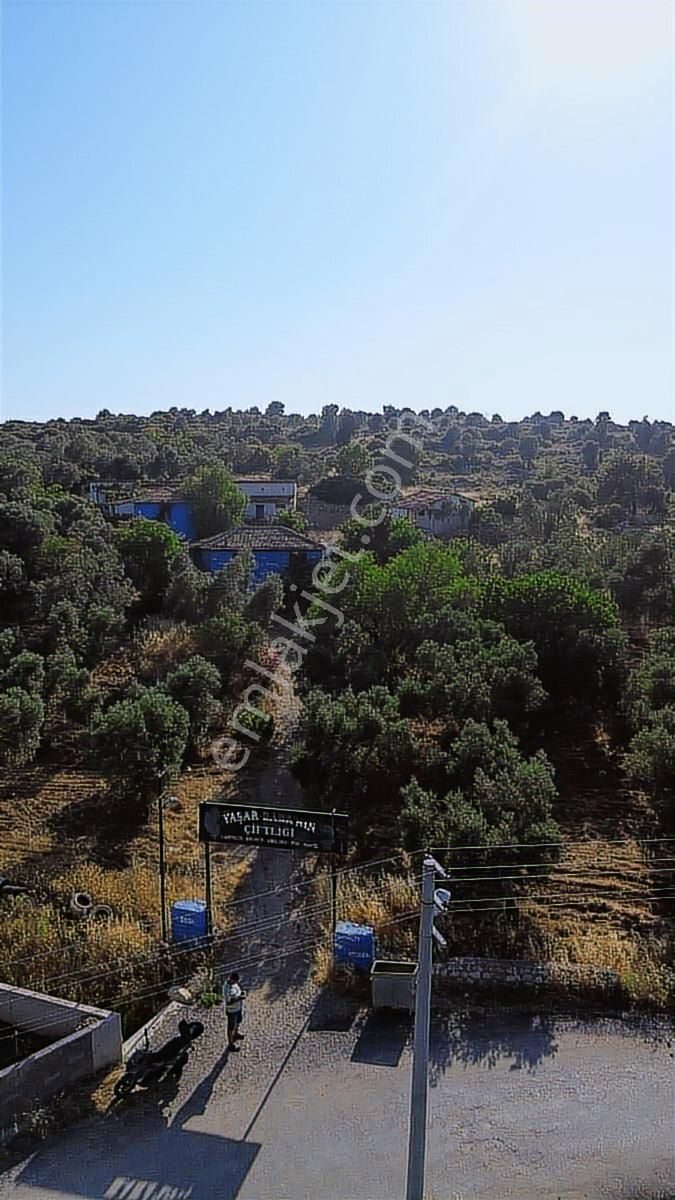 Çeşme Germiyan'da Emsalsiz Yatırım Fırsatı - Görsel 18