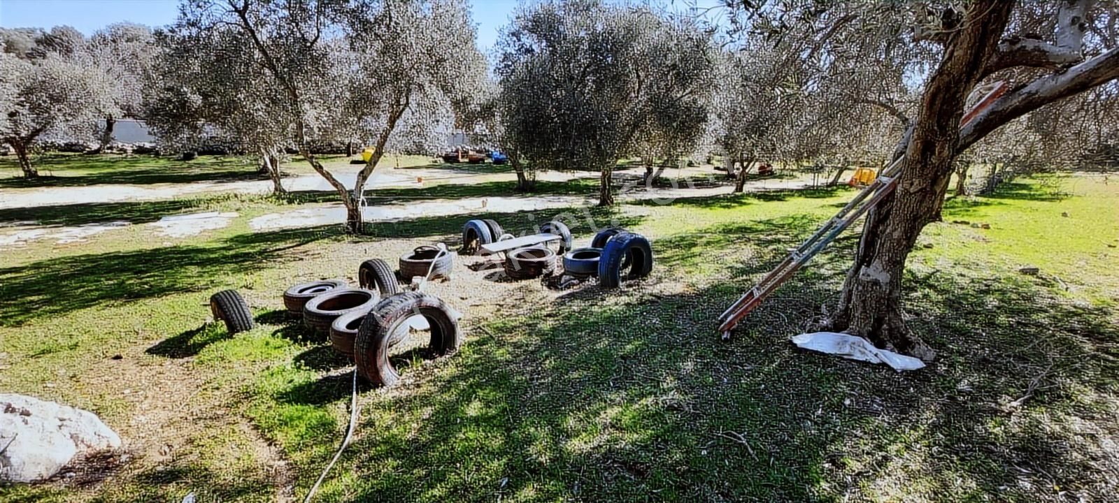 Çeşme Germiyan'da Emsalsiz Yatırım Fırsatı - Görsel 13