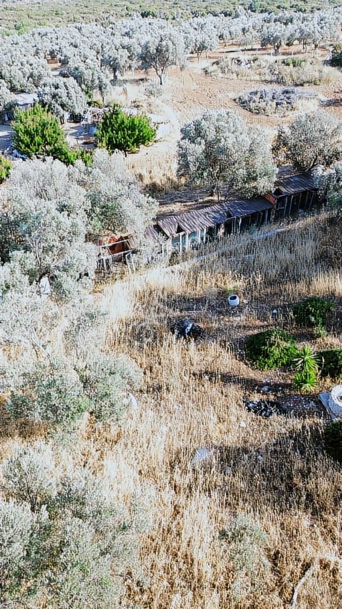 Çeşme Germiyan'da Emsalsiz Yatırım Fırsatı - Görsel 19