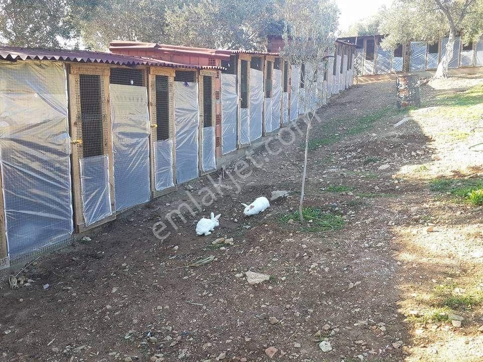 Çeşme Germiyan'da Emsalsiz Yatırım Fırsatı - Görsel 27