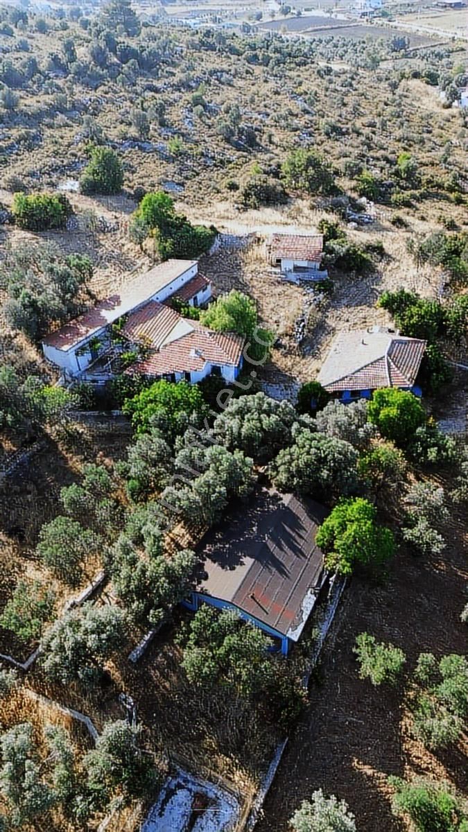 Çeşme Germiyan'da Emsalsiz Yatırım Fırsatı - Görsel 16