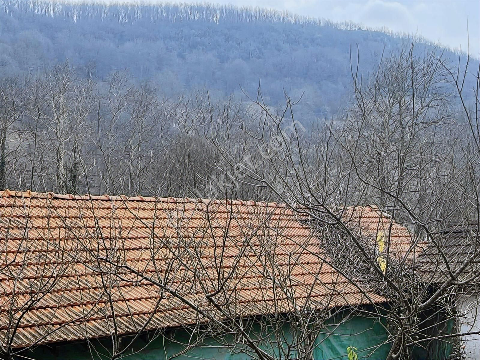 Fındıklık Köye Yakın Tarla - Görsel 2