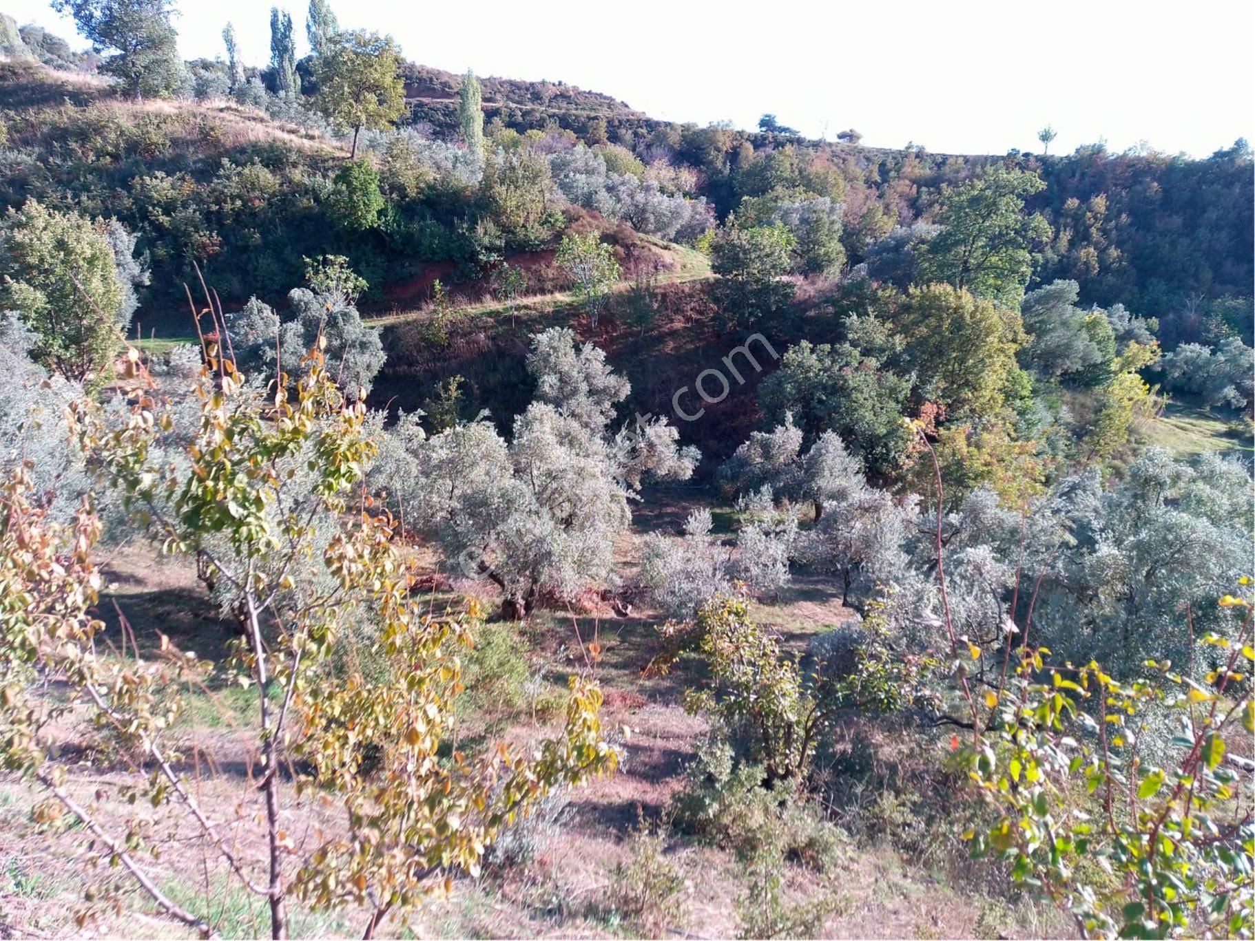 İzmir Ödemişte Satılık Arsa - Görsel 8