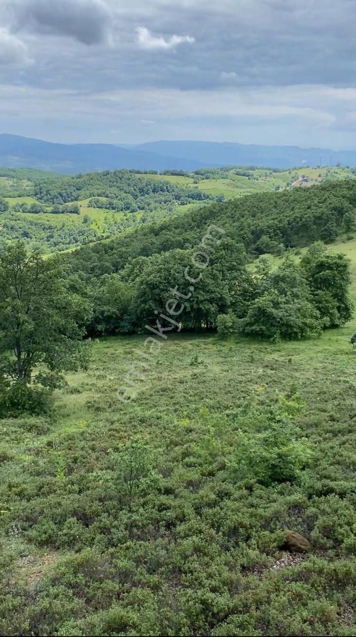 İznik Sarıağıl’da Asfalt Yola Cephe, Yatırımlık 7 Dönüm Müstakil Parsel - Görsel 3