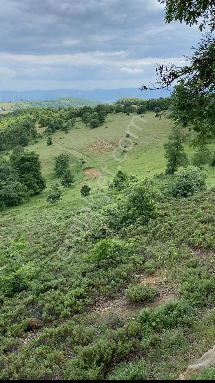 İznik Sarıağıl’da Asfalt Yola Cephe, Yatırımlık 7 Dönüm Müstakil Parsel - Görsel 2
