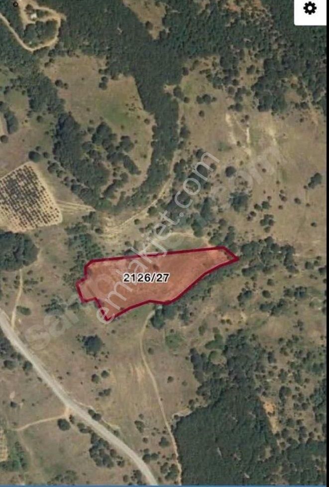 İznik Sarıağıl’da Asfalt Yola Cephe, Yatırımlık 7 Dönüm Müstakil Parsel - Görsel 4