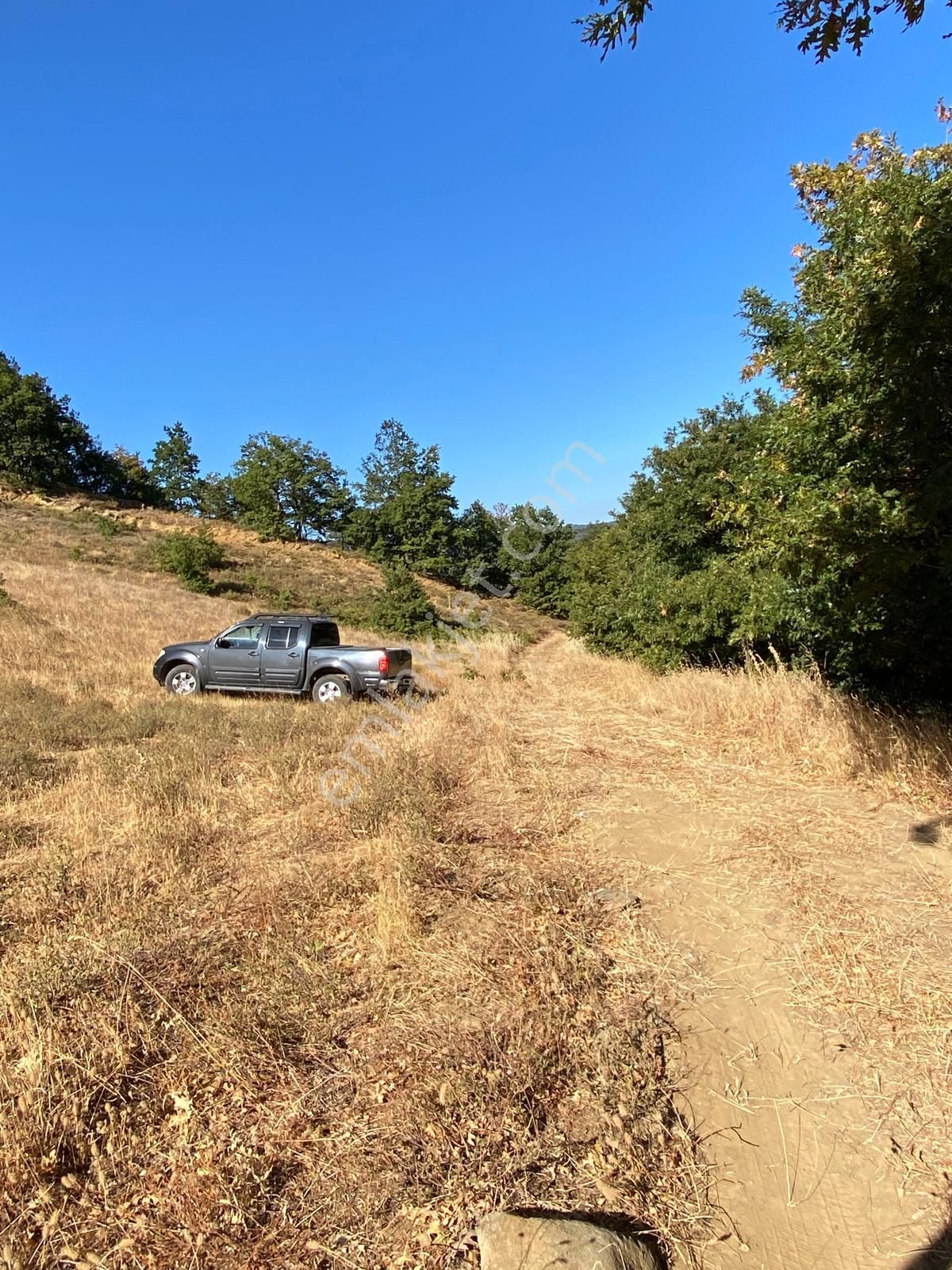İznik Sarıağıl’da Asfalt Yola Cephe, Yatırımlık 7 Dönüm Müstakil Parsel