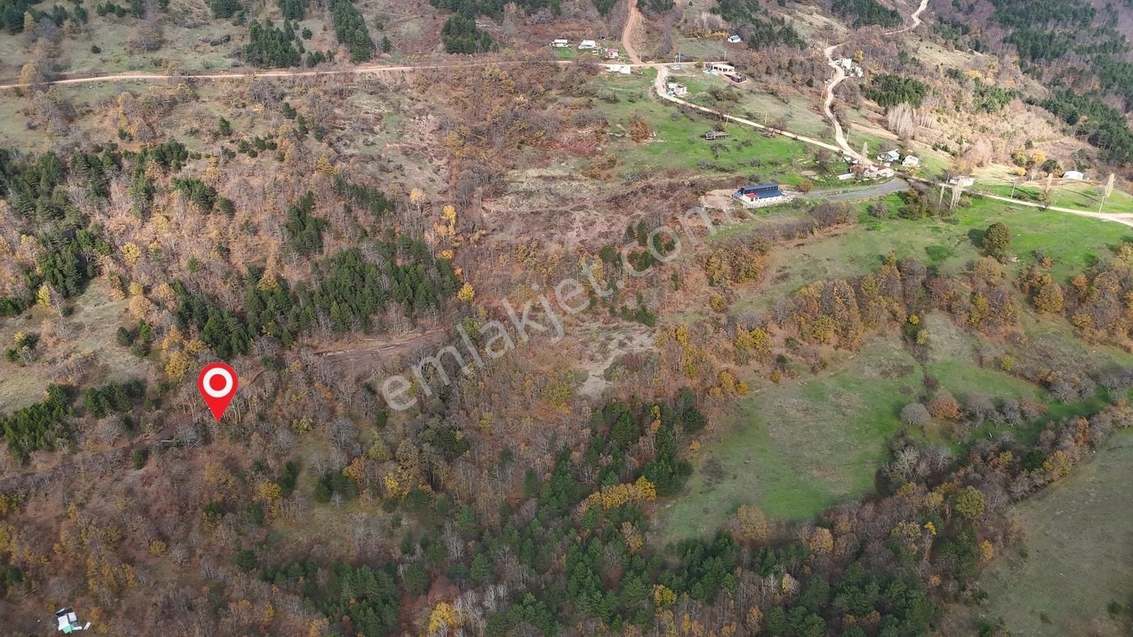 İznik Osmaniye'de Resmi Yola Cepheli 3510 M2 Müstakil Tapu Tarla - Görsel 14