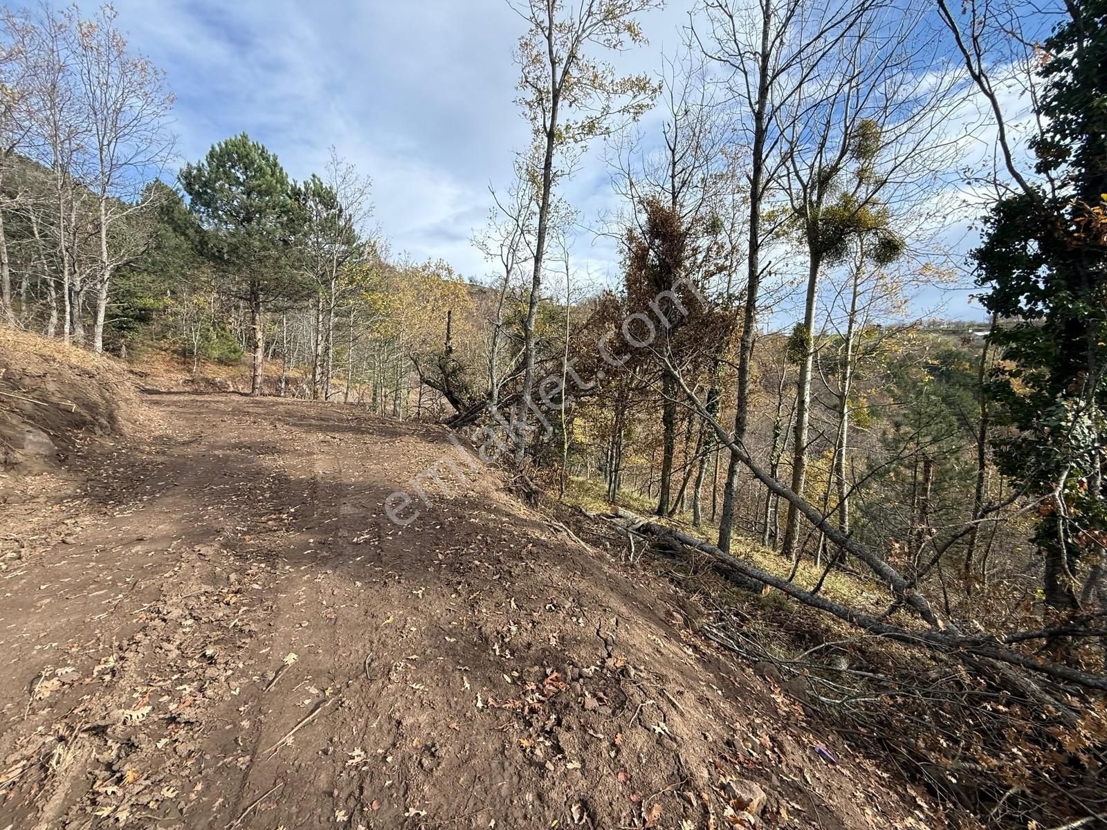 İznik Osmaniye'de Resmi Yola Cepheli 3510 M2 Müstakil Tapu Tarla