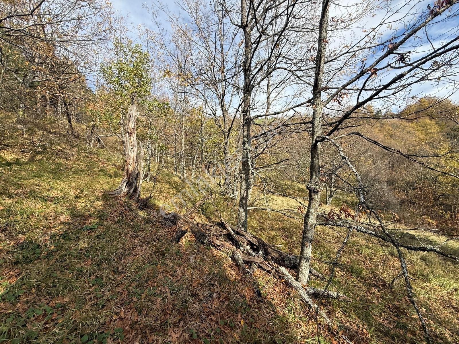 İznik Osmaniye'de Resmi Yola Cepheli 3510 M2 Müstakil Tapu Tarla - Görsel 22