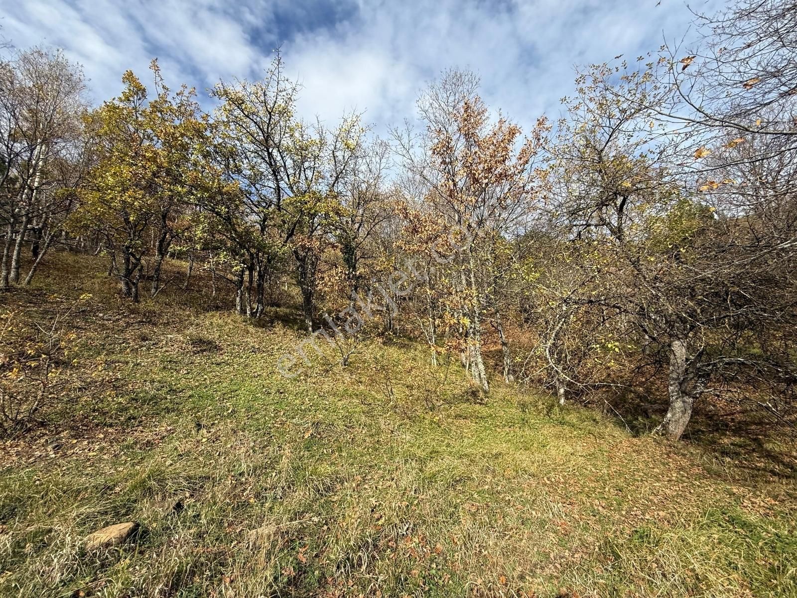 İznik Osmaniye'de Resmi Yola Cepheli 3510 M2 Müstakil Tapu Tarla - Görsel 2