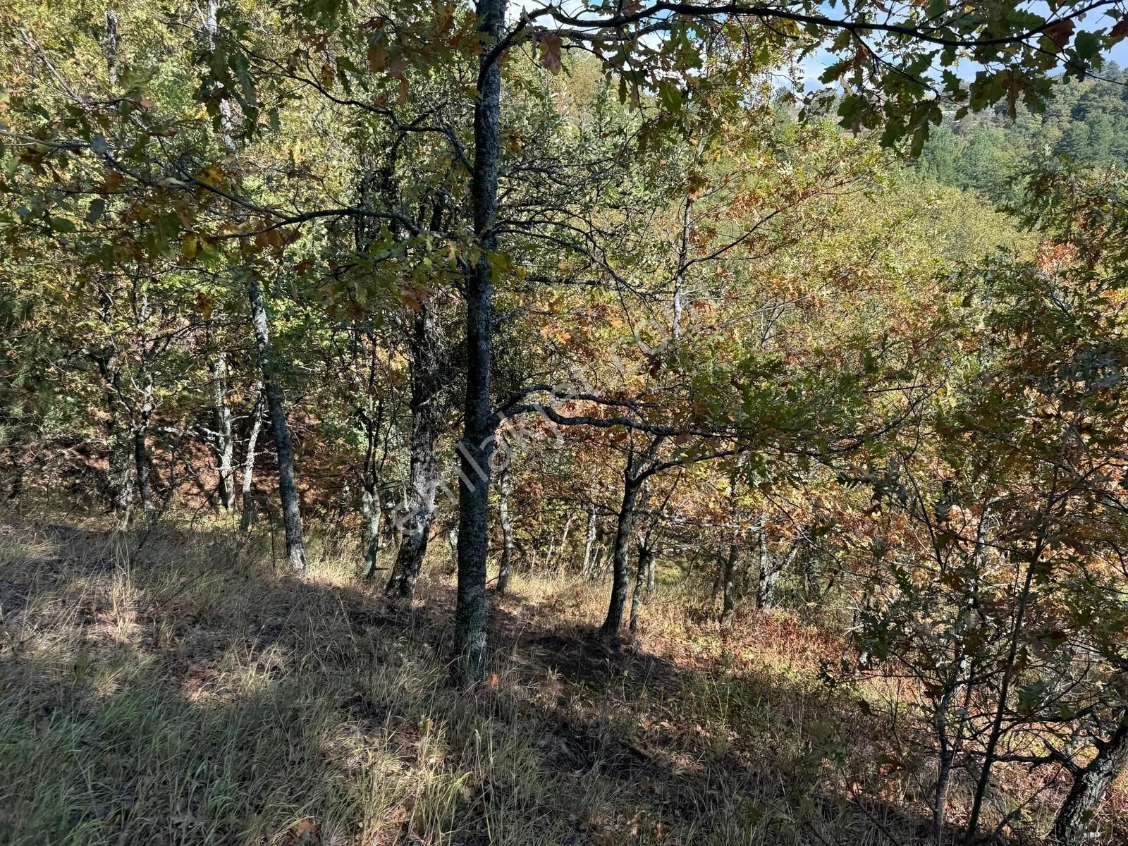 İznik Osmaniye'de Resmi Yola Cepheli 3510 M2 Müstakil Tapu Tarla - Görsel 11