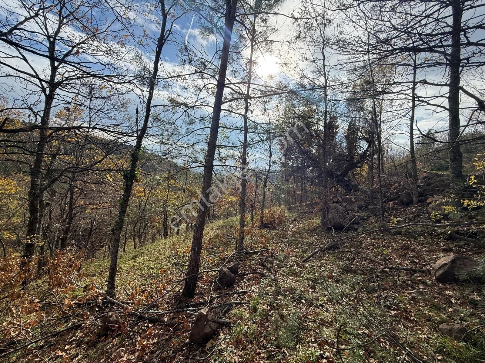 İznik Osmaniye'de Resmi Yola Cepheli 3510 M2 Müstakil Tapu Tarla - Görsel 4