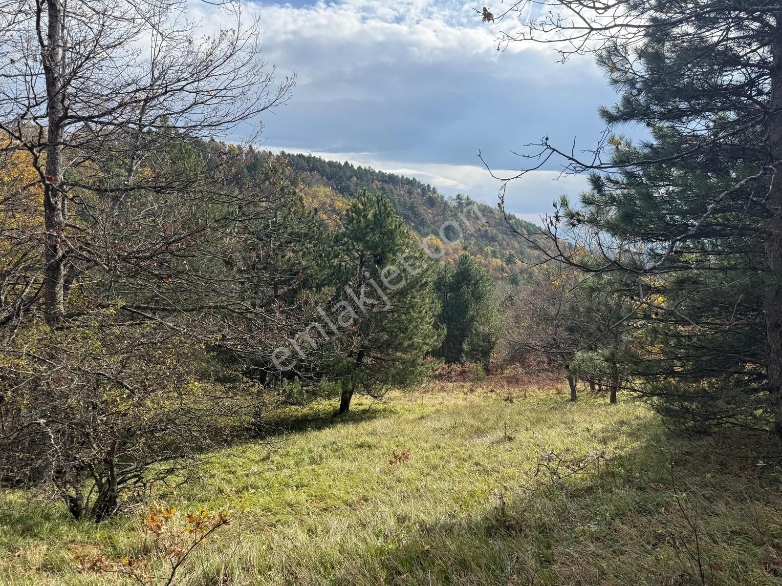 İznik Osmaniye'de Resmi Yola Cepheli 3510 M2 Müstakil Tapu Tarla - Görsel 21