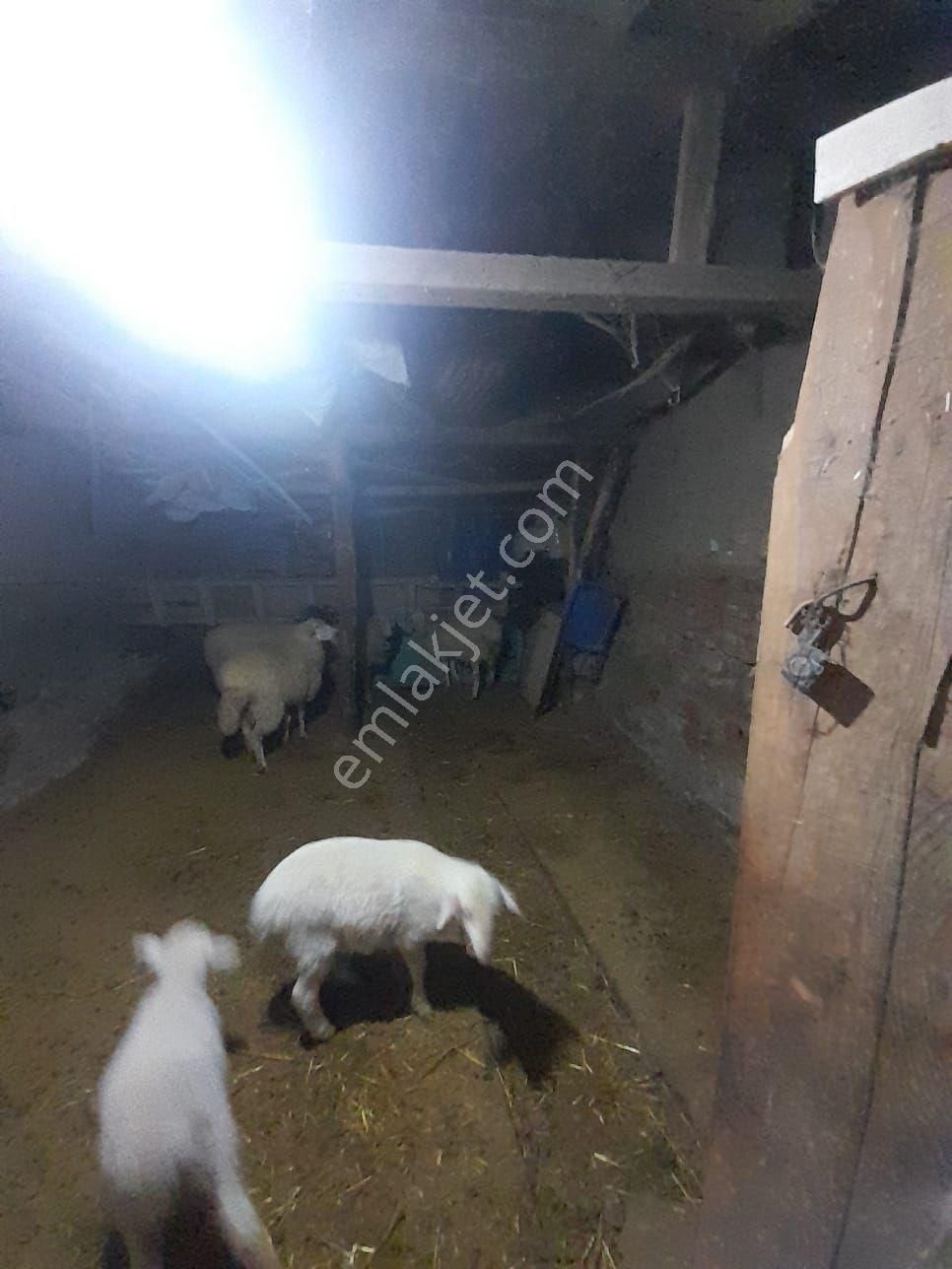 Sakintepe Mahallesinde Satılık 3 - Görsel 17