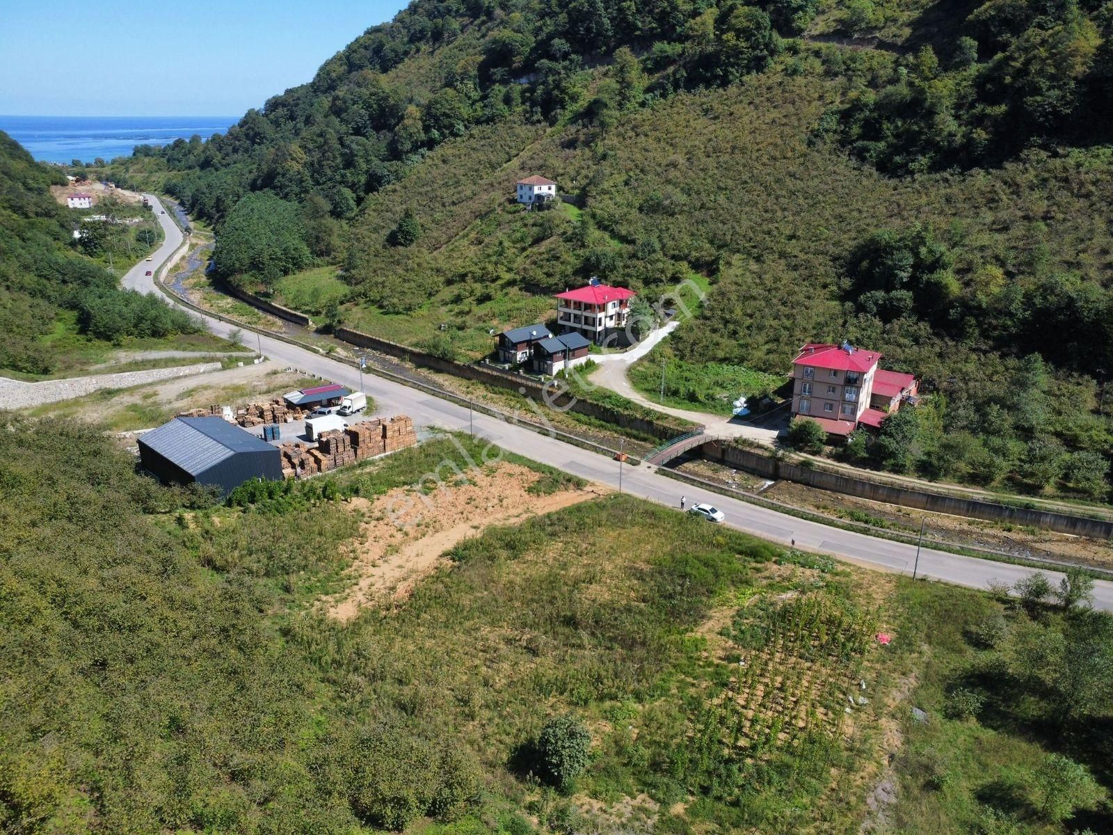 Trabzon Yomra Ticari Emsalli Anayolda Arsa - Görsel 14