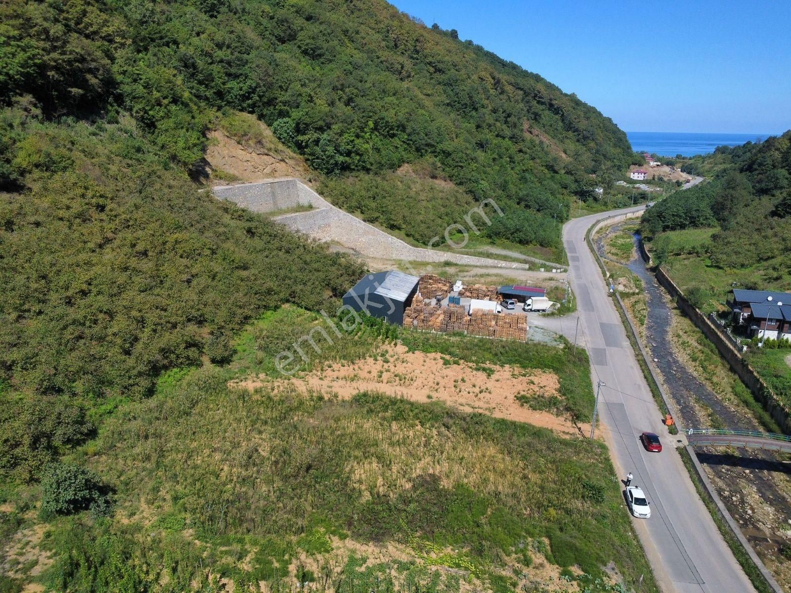 Trabzon Yomra Ticari Emsalli Anayolda Arsa