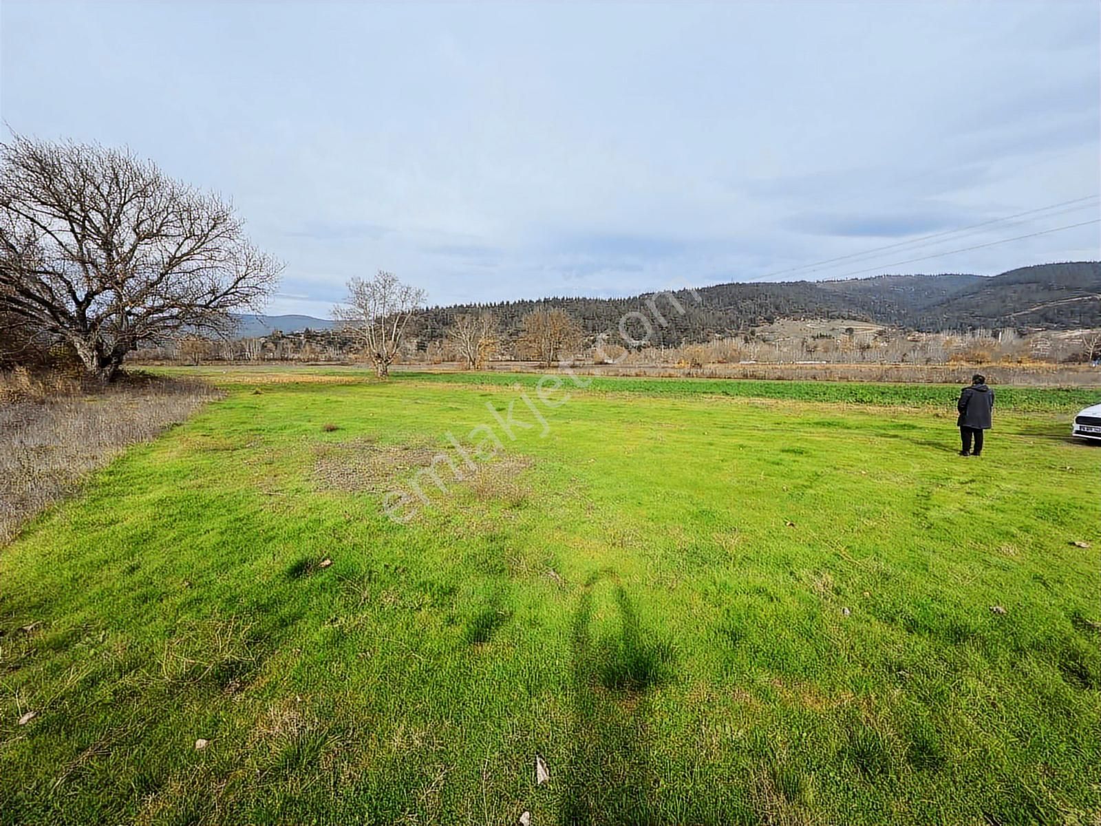 Orhaneli Deliballılar Da Toplam 5.529 M2 Arazi - Görsel 7