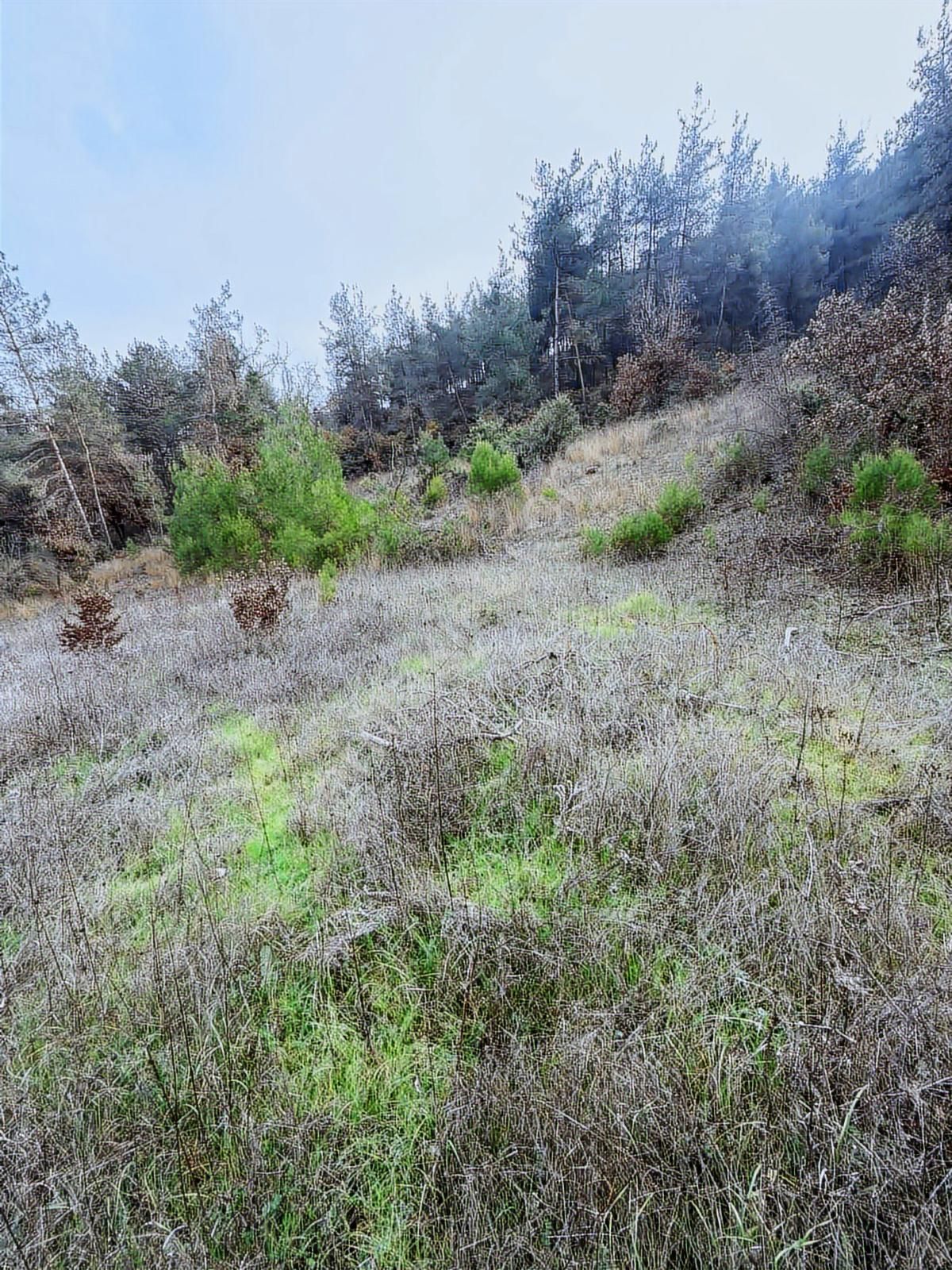 Orhaneli Deliballılar Da Toplam 5.529 M2 Arazi - Görsel 11