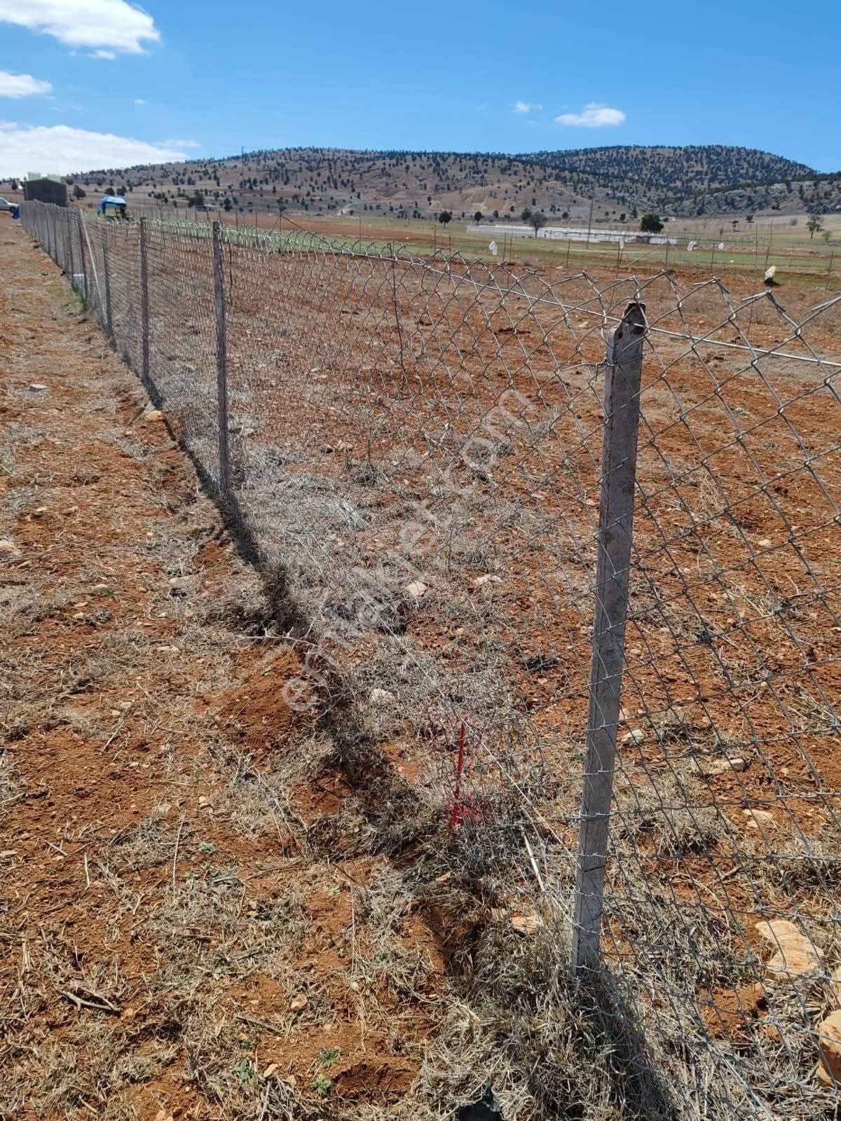 ✅korkuteli✅sımandır Da ✅satılık 1.222m2 Tarla - Görsel 2