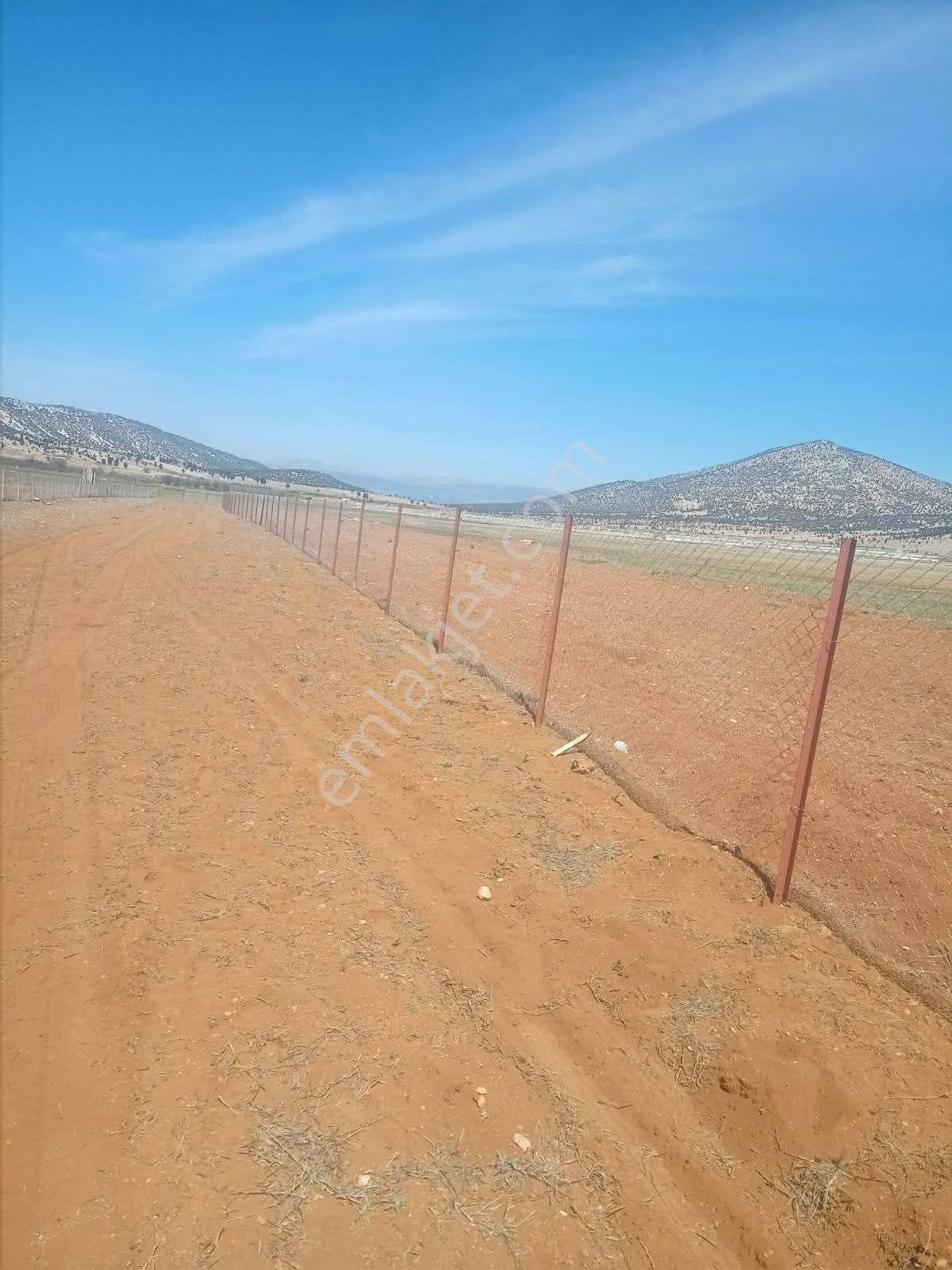 ✅korkuteli✅sımandır Da ✅satılık 1.222m2 Tarla