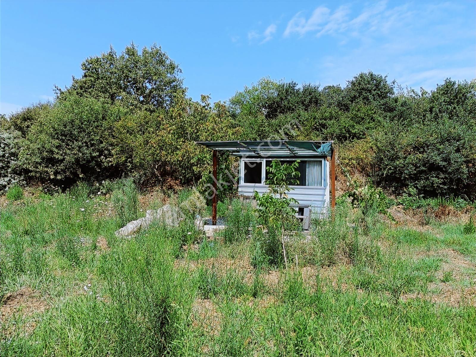 Gedelek Altı 1.380 M² Yol Ve Su Sorunu Yoktur - Görsel 13