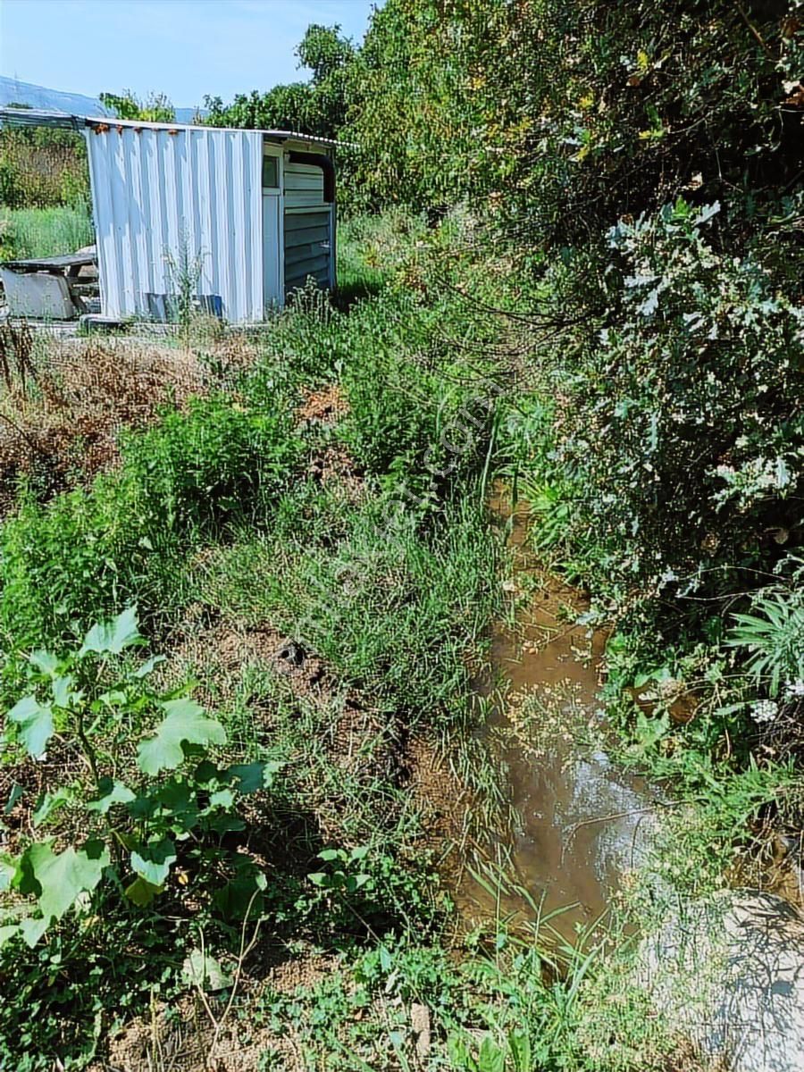 Gedelek Altı 1.380 M² Yol Ve Su Sorunu Yoktur - Görsel 8