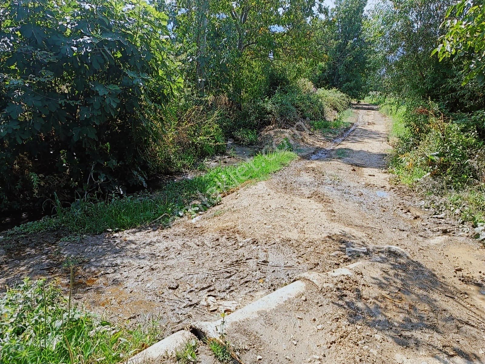 Gedelek Altı 1.380 M² Yol Ve Su Sorunu Yoktur - Görsel 9