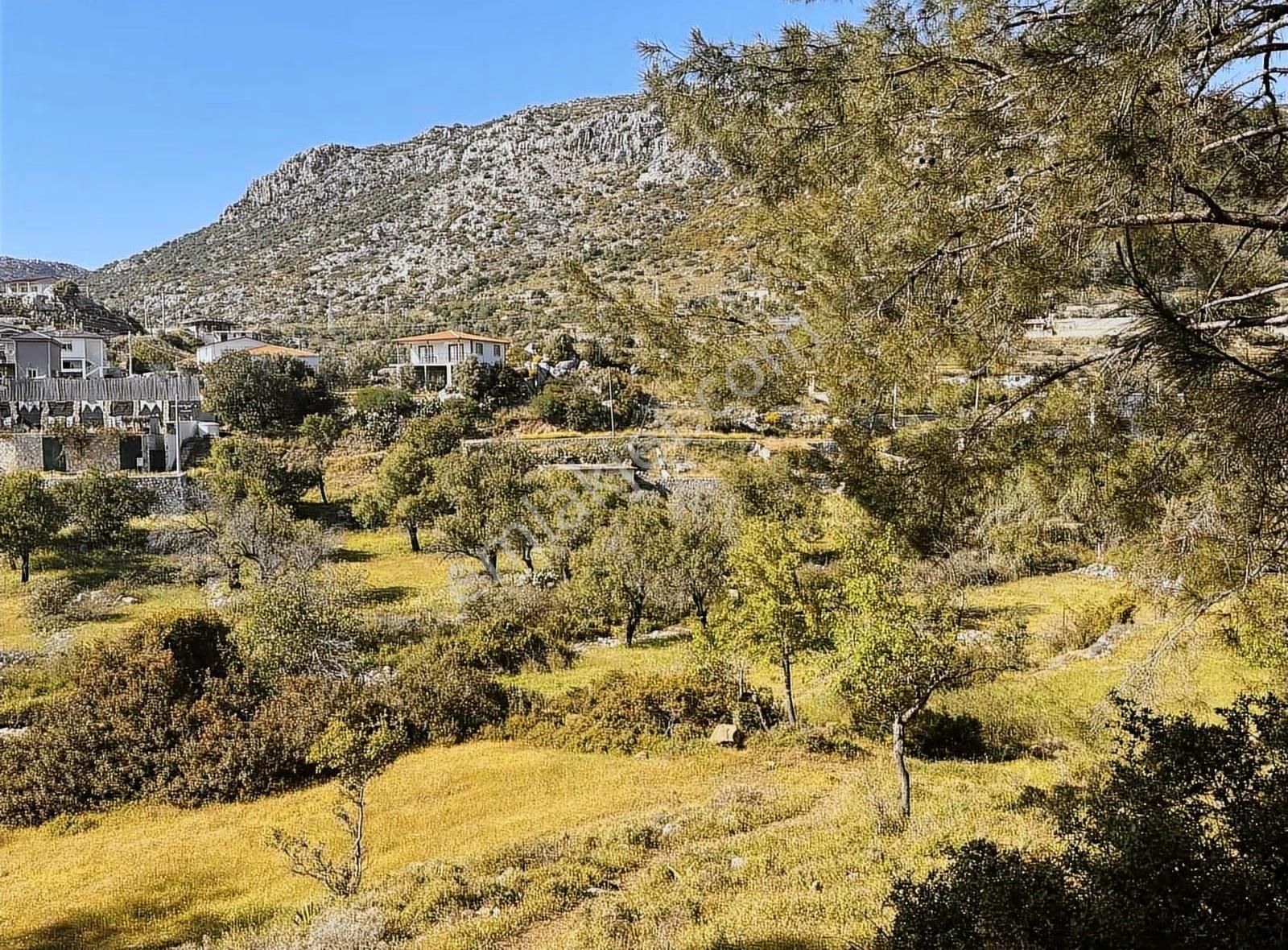 Söğüt Satlık Emsalsiz İmarlı Ve Tiniy House Arsası Deniz 1km - Görsel 11