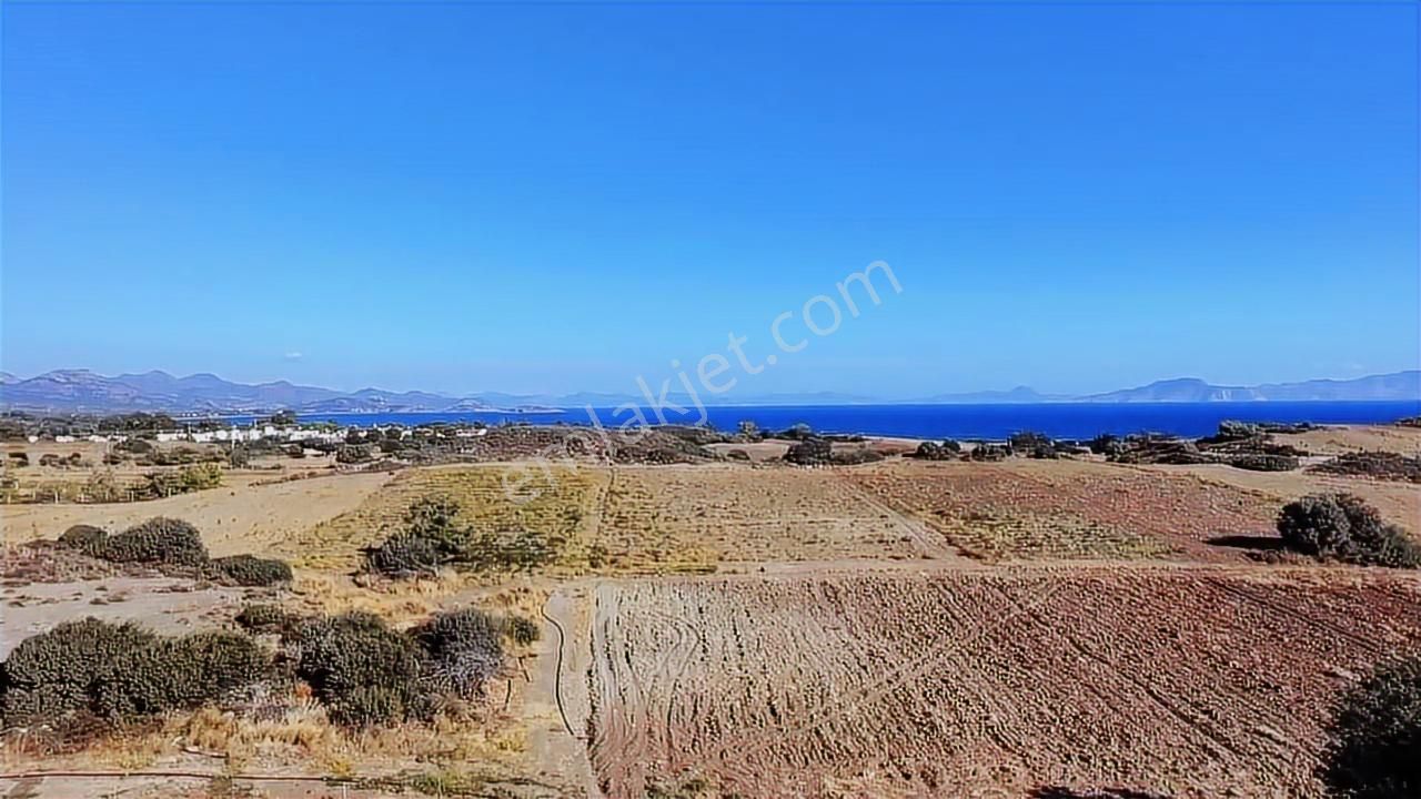 Datça Kızlan Tta İmar Planında 5.518m2 Arsa - Görsel 6