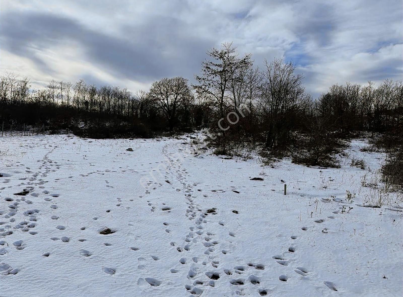 Özdemir Den Güngörende Tek Tapu Kadastro Yoluna Cephe - Görsel 11
