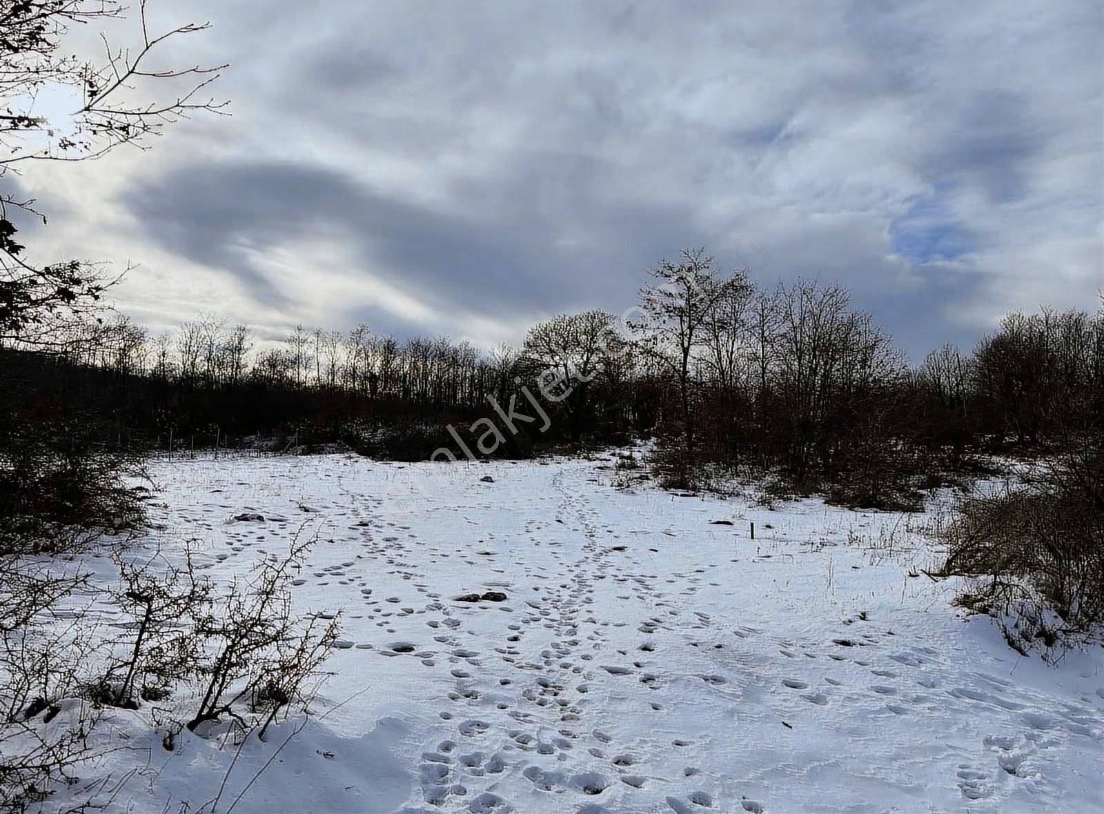 Özdemir Den Güngörende Tek Tapu Kadastro Yoluna Cephe - Görsel 5
