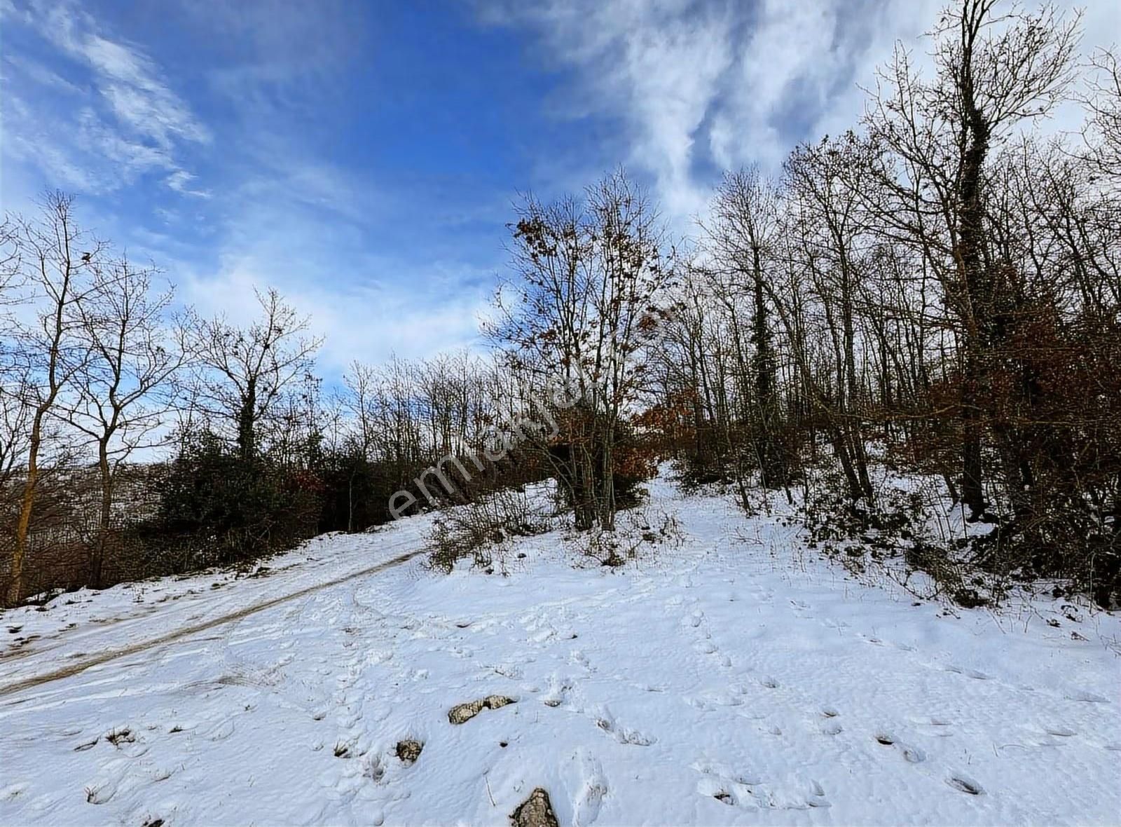 Özdemir Den Güngörende Tek Tapu Kadastro Yoluna Cephe - Görsel 14
