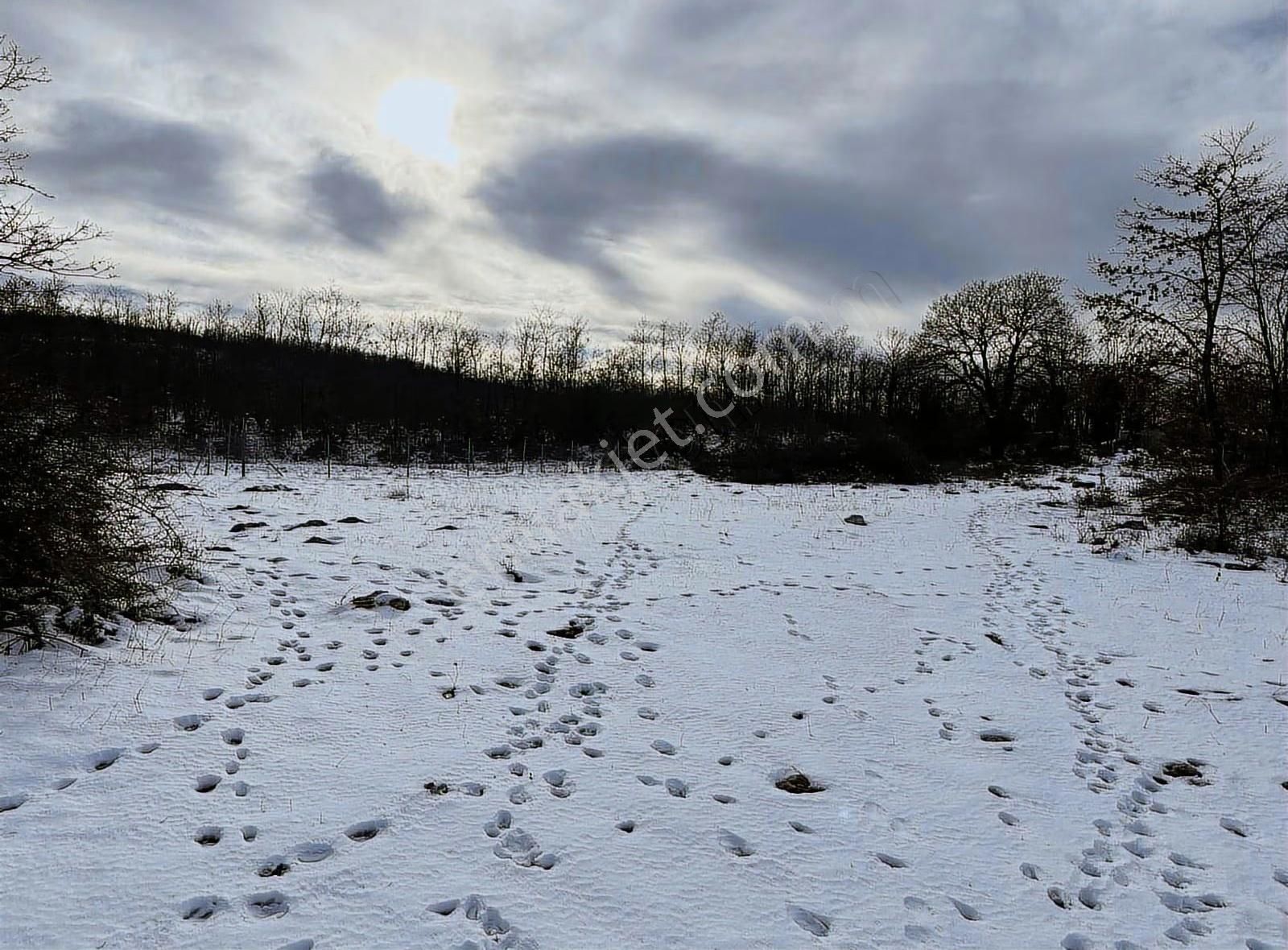 Özdemir Den Güngörende Tek Tapu Kadastro Yoluna Cephe - Görsel 6