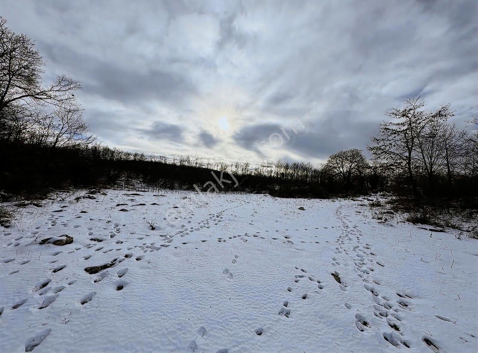 Özdemir Den Güngörende Tek Tapu Kadastro Yoluna Cephe - Görsel 9