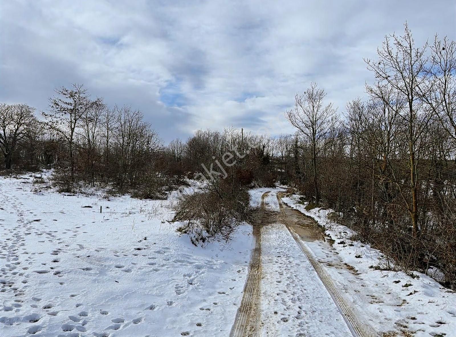 Özdemir Den Güngörende Tek Tapu Kadastro Yoluna Cephe - Görsel 7