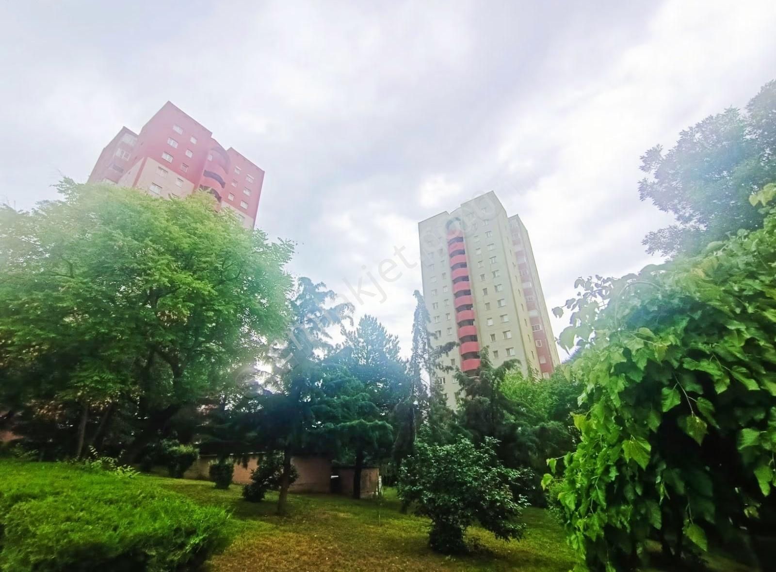 Buğra Emlak Tan 2.etap Eston Blk Ara Kat Hastane Yanı 3+1 Daire